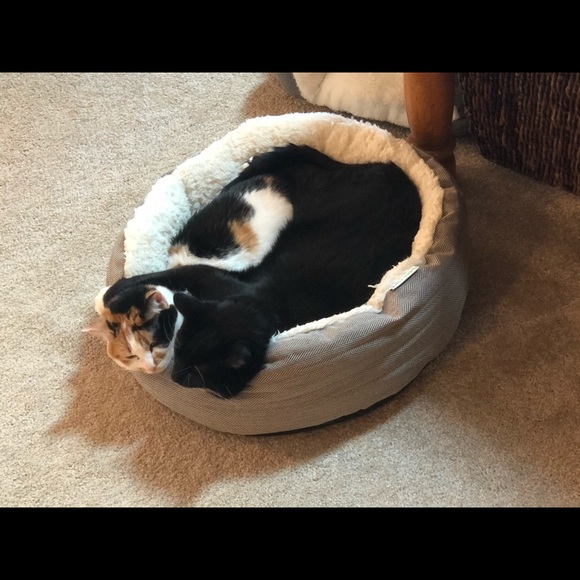 Meet your Posher, Jenny - Picture 1 of 1